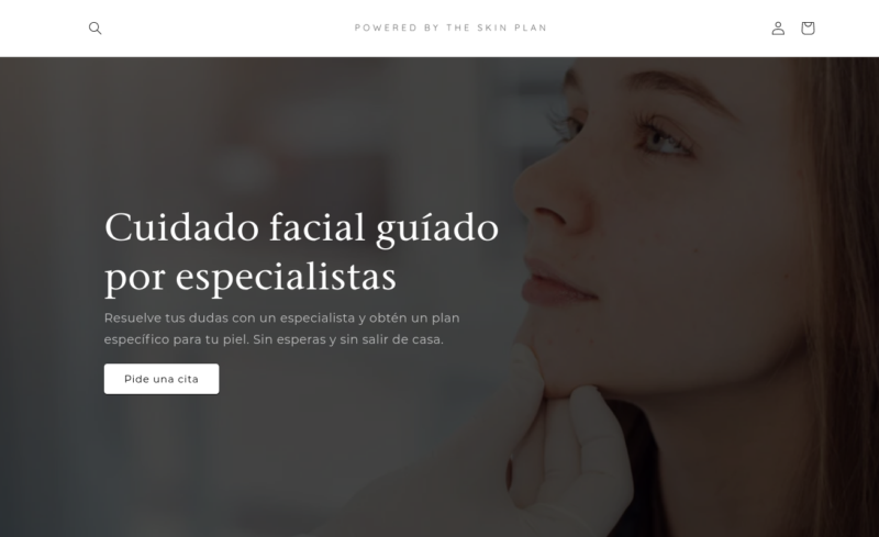 the skin plan website screenshot